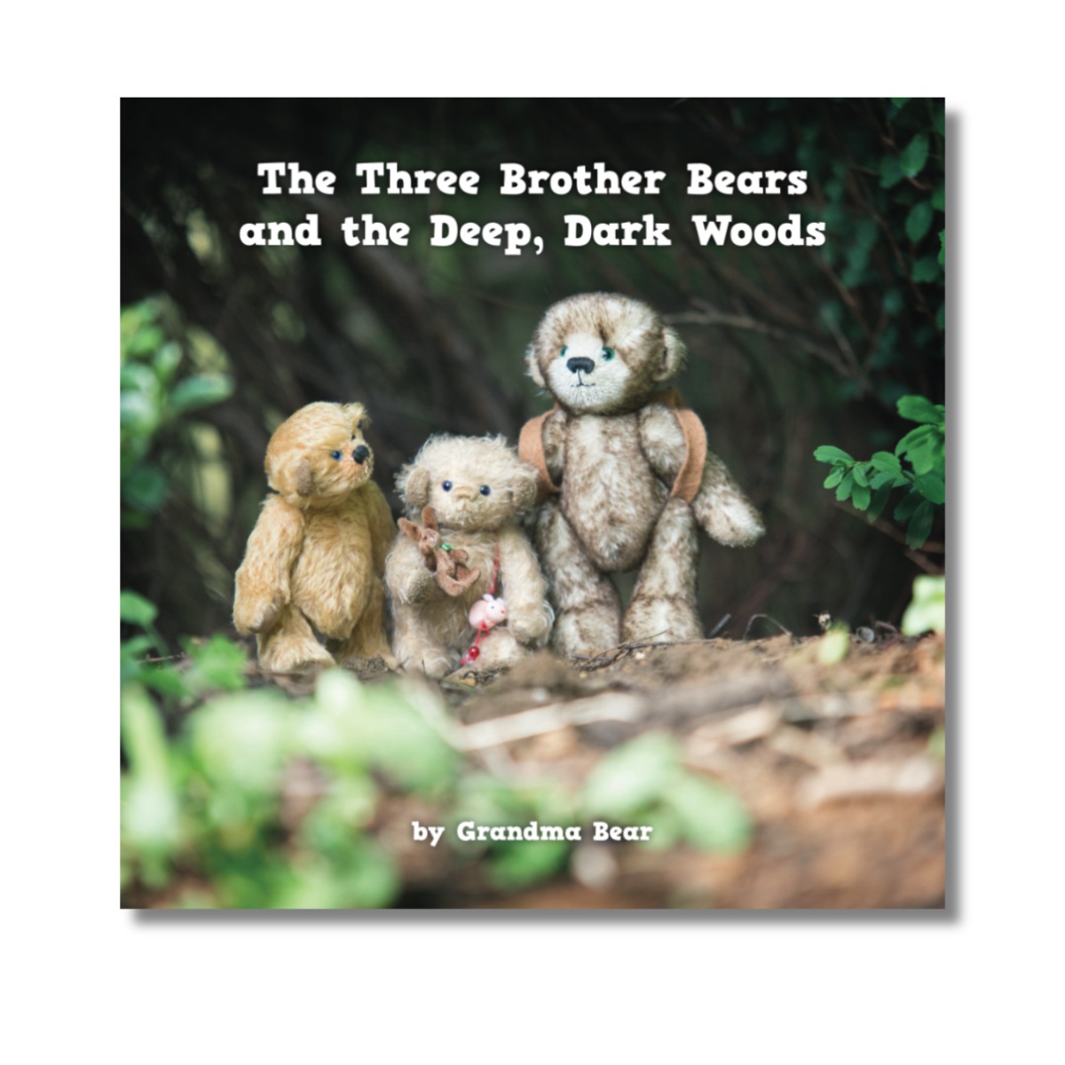 Three Brother Bears Children's book